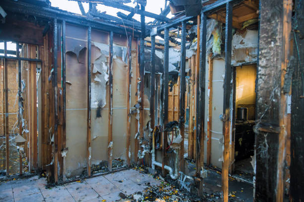 Professional Fire Damage Assessment technician working in Willow Grove, PA